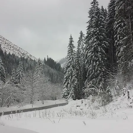 Chalet Snowy Hills 木屋 比荷巴赫